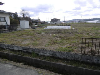 ����̎ʐ^�ł�